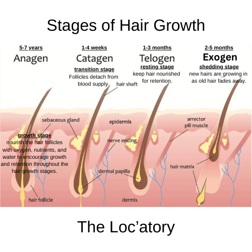 What Your Hair Needs