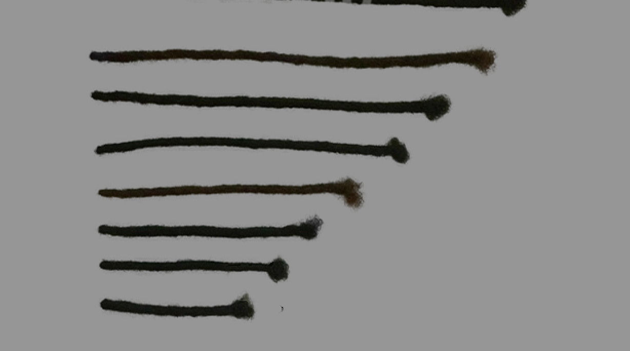 Loc Extensions